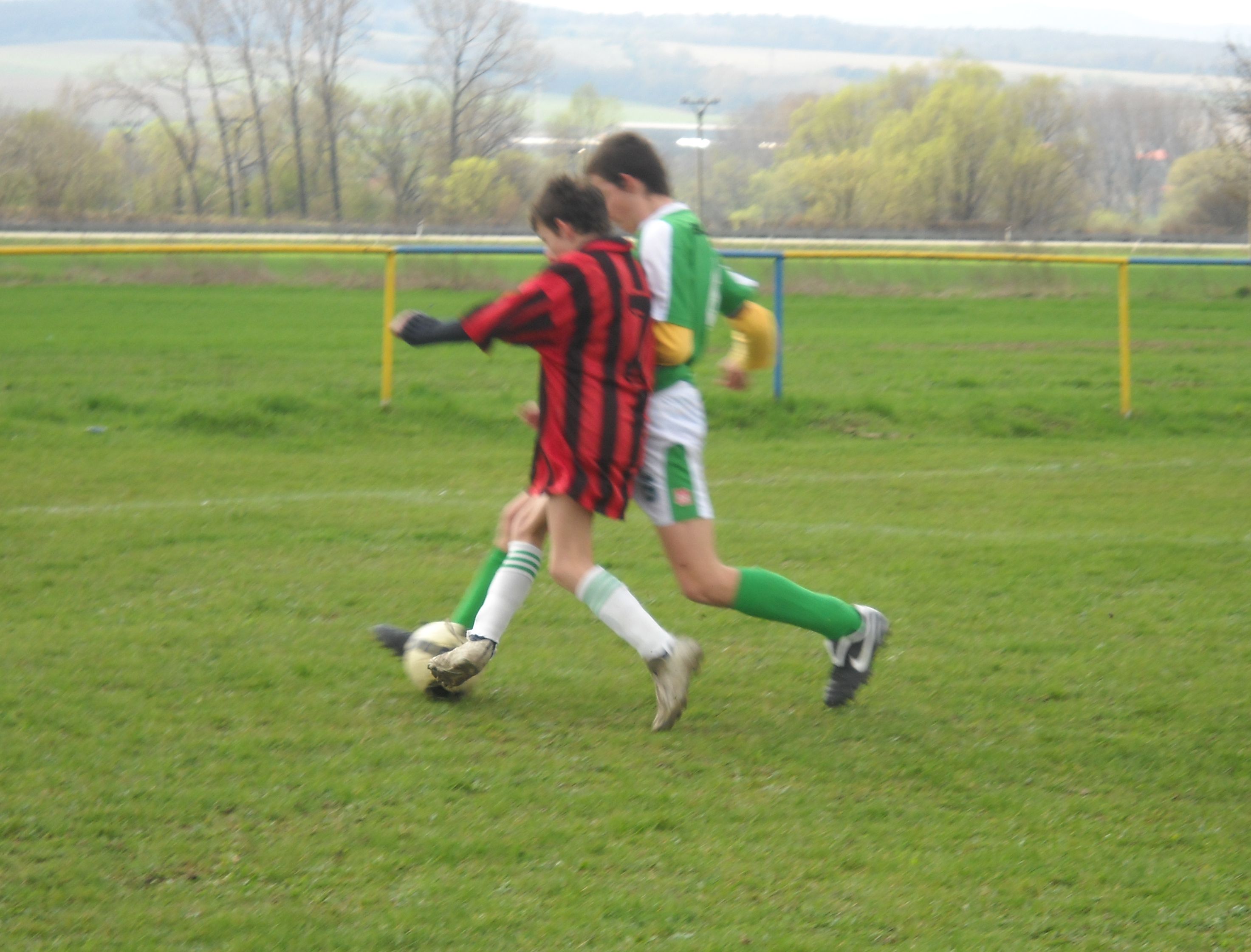 DSCN3351.jpg