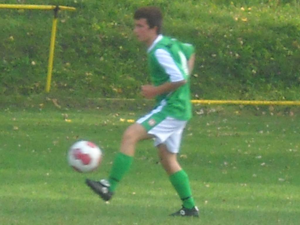 stevo